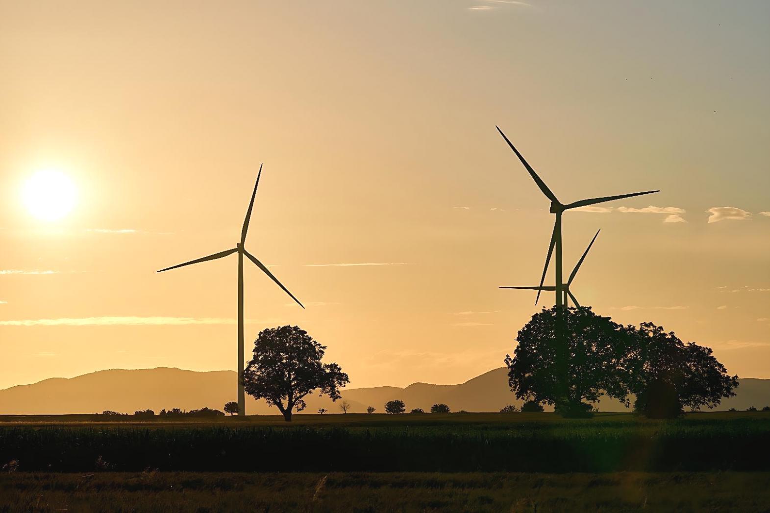 Exercices pratiques progressifs